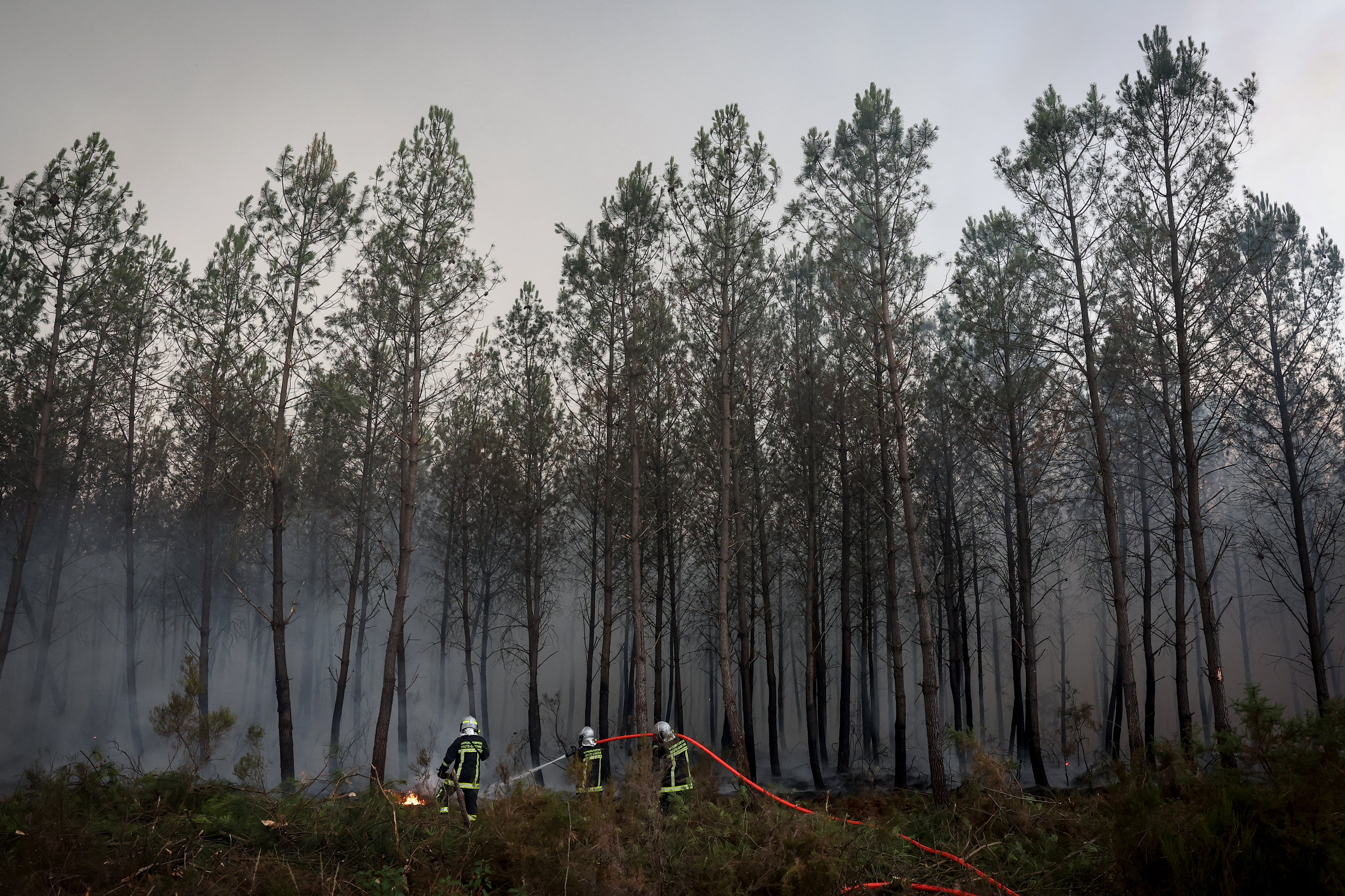 Firefighters battle a forest fire in Saint-Jean-d'Illac, France