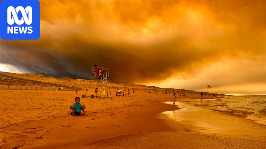 Fires in France and Spain wear 'the fingerprints of climate crisis'