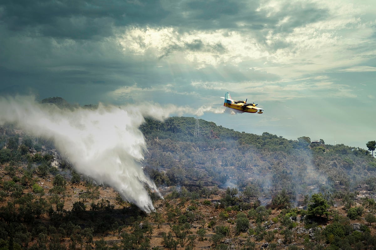 Spain Wildfires: Why Investing in Prevention and Land Management Beats More Firefighting