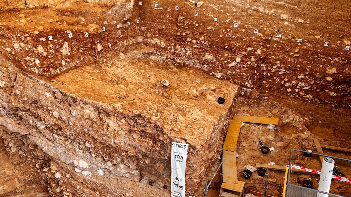 Spain cave discovery upends theory that ancient cannibals targeted children alone