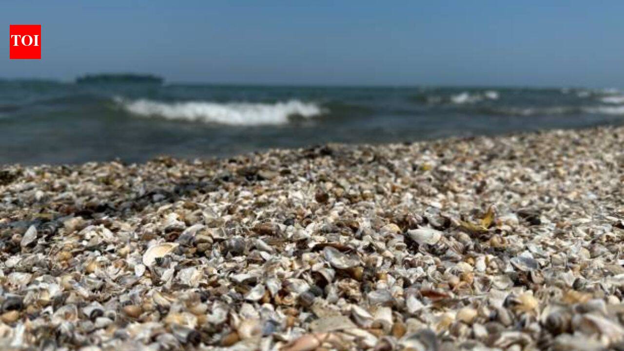 Thousands of zebra mussels were detected in Spain's Ebro River in 2001; today they are collapsing structures and pipes with a population of 40,000 per square meter