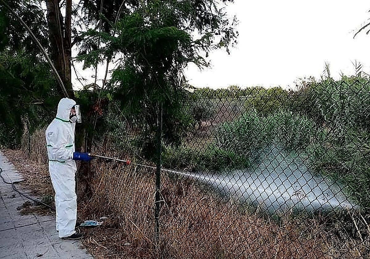 West Nile virus in Andalucía: three new cases bring total number of infected people to 29