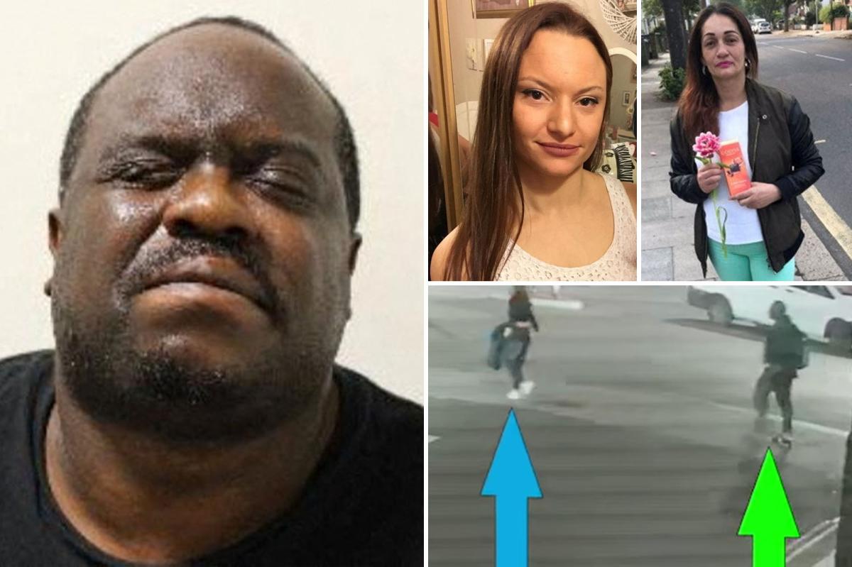 Serial sex offender receives life sentence for double murder, rape after police failings