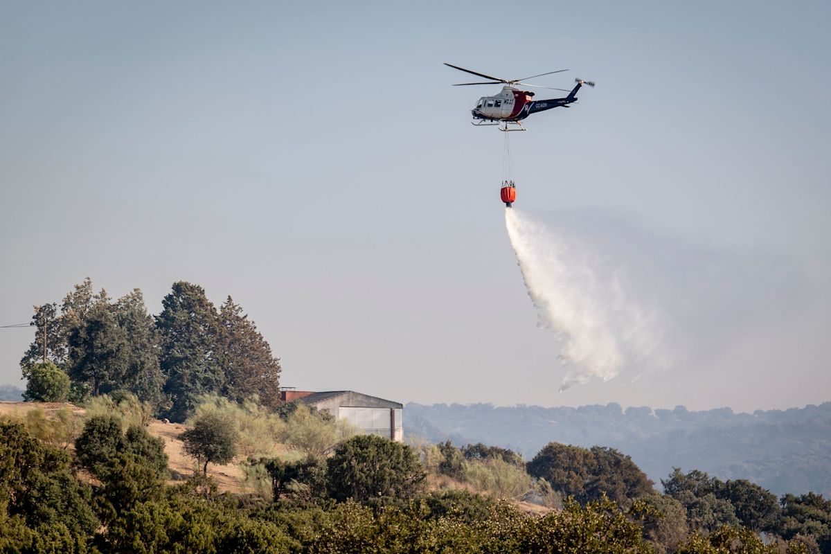 Around 1,000 people evacuated due to forest fire in eastern Spain