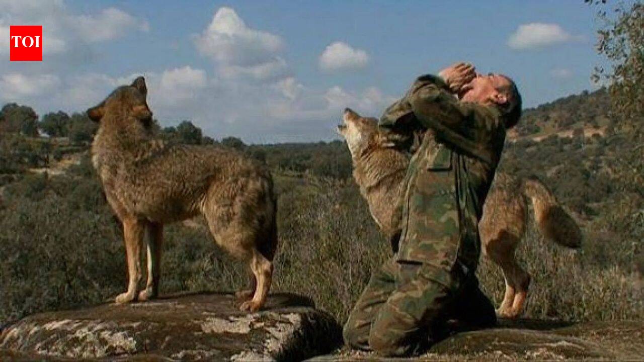 He lived alone in the wild with wolves for 12 years; Spain’s famous ‘wolf boy’ Marcos Rodríguez Pantoja dies at 80 | World News