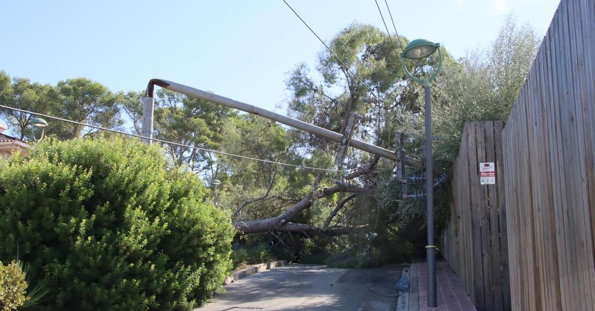 Around 2,000 homes in Tarragona continue without electricity due to the violent storm
