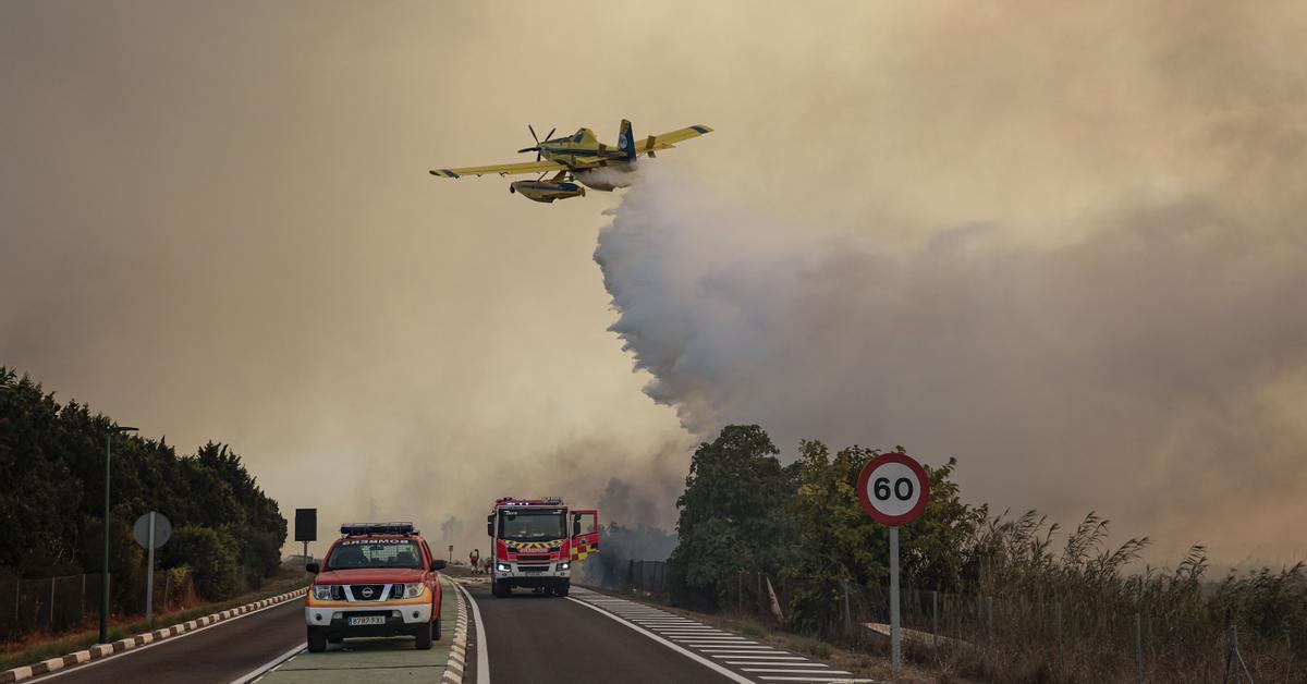 A fire in the Devesa del Saler forces the closure of the CV-500 and the evacuation of residents