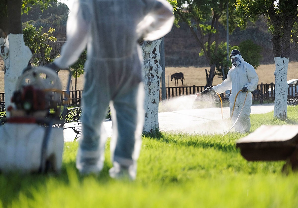 Why does the West Nile virus hit Seville province far harder than Malaga?
