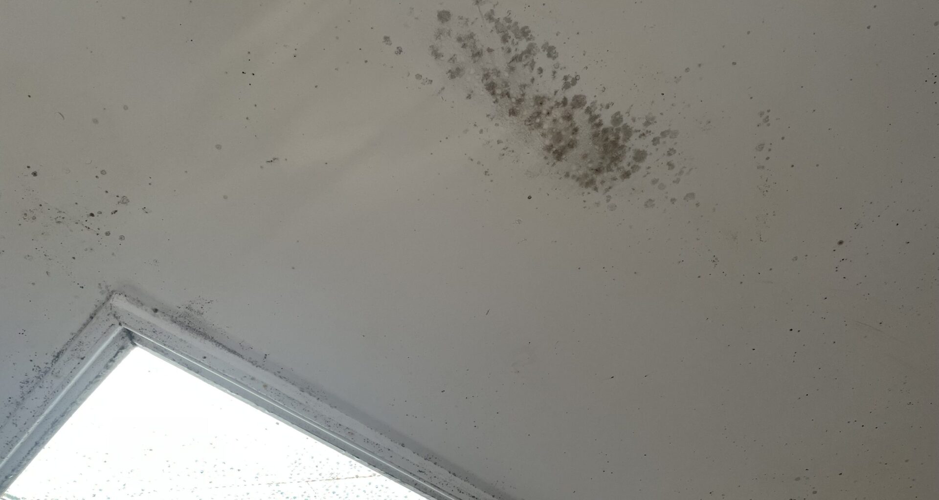 Trial shows high‑tech damp and mould sensors could be scaled up to improve London homes