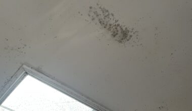 Trial shows high‑tech damp and mould sensors could be scaled up to improve London homes