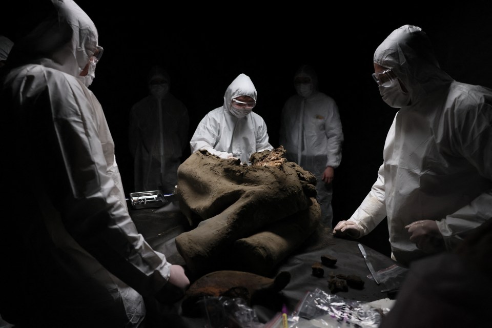 Scientists in protective suits examining a baby mammoth.