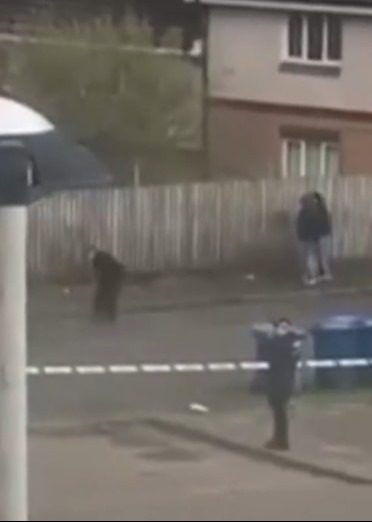 Street brawl with people fighting with large blades.