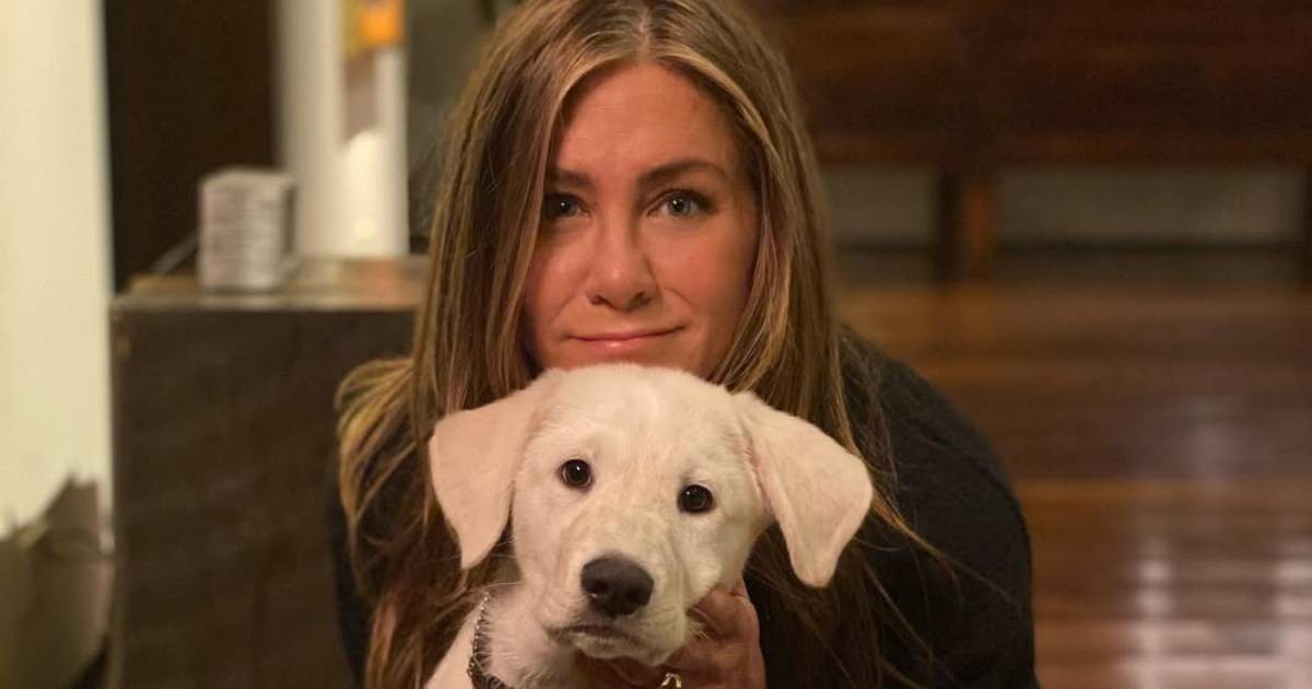 Jennifer Aniston undergoing hypnosis to cure 'extreme' fear of flying, Entertainment News