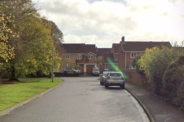 Merlin Park, Portishead.