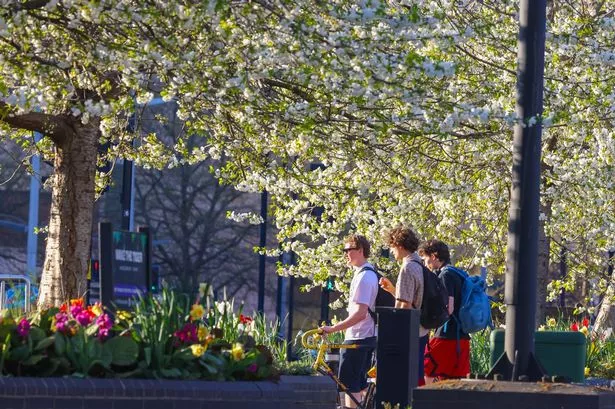 Sunny weather in Bristol.