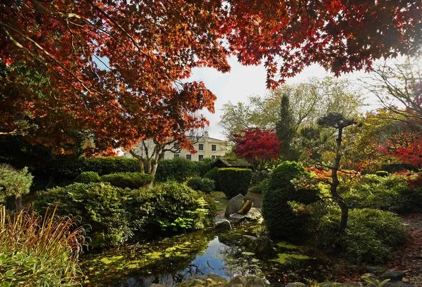 Beautiful autumn colours at the Japanese garden