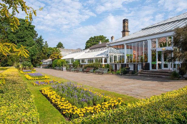 Medicine Bakery will open their newest cafe inside the Birmingham Botanical Gardens