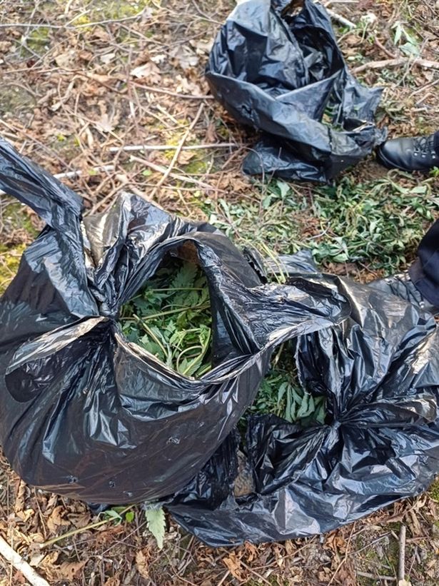 A large quantity of suspected cannabis was found after police spotted a man 'acting suspiciously'