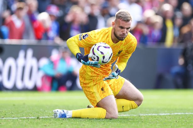 Jaros has made two appearances for Liverpool's first-team
