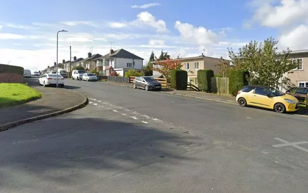 Firbank Avenue 