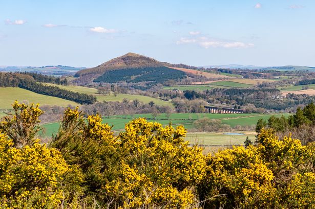 View of the Scottish Borders from Eildon Hill North