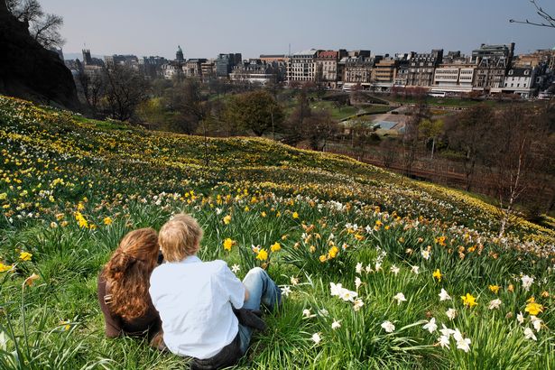 A couple sat with back to camera on a hillside of daffodils overlooking Edinburgh city centre