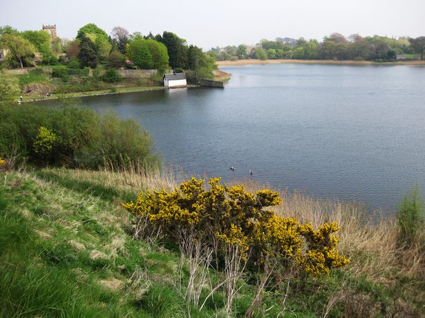Duddingston Loch
