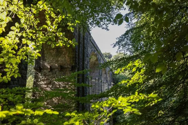 Healey Dell Nature Reserve, Rochdale 