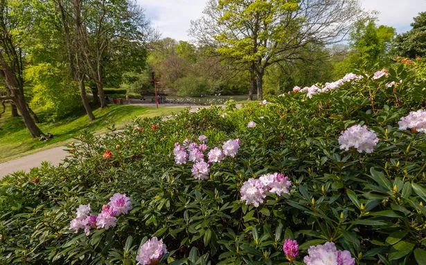 Queen's Park in Bolton