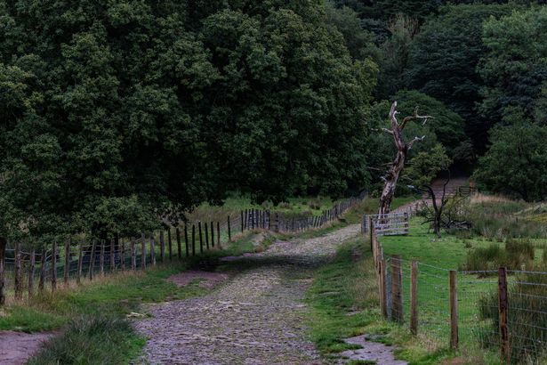 Rivington Terraced Gardens