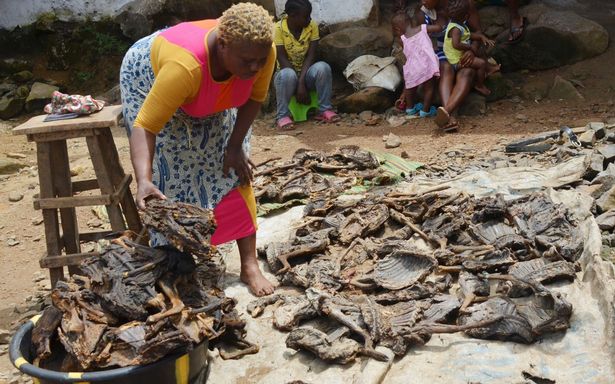 bushmeat on sale in market