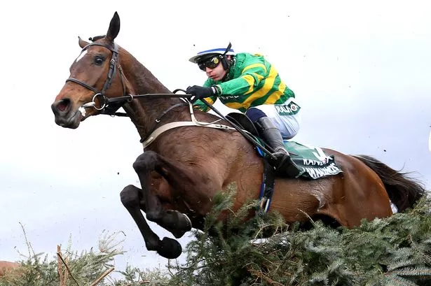The field for Saturday's Randox Grand National at Aintree has begun to take shape after the five-day entry stage was confirmed this afternoon.