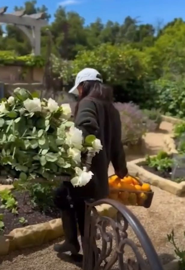 Meghan Markle carrying baskets of fruit and flowers in her garden