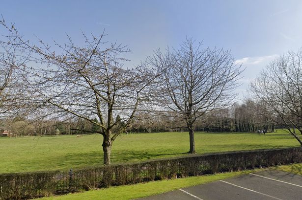 A Google Maps screengrab of a section of Princess Alice Park in New Oscott, Sutton Coldfield