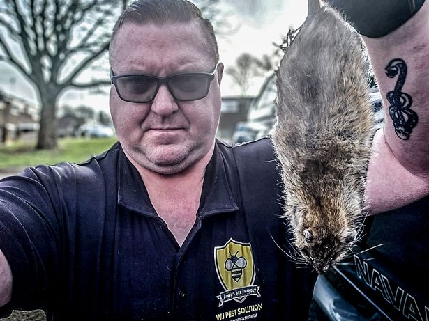 A bad day to be a rat... was another day. The rat population was unharmed during our visit 