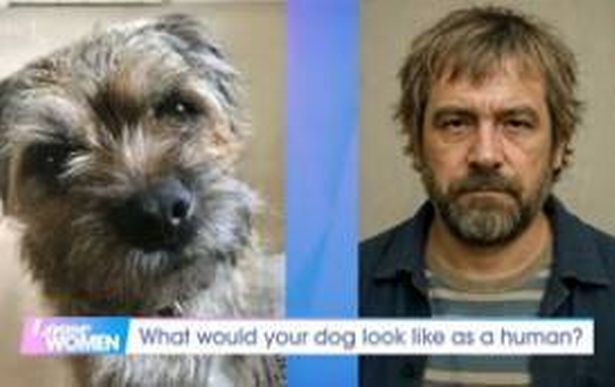 Janet's terrier dog Badger as a human