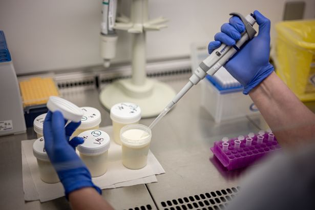  Laboratory technicians from State veterinary administration of the Czech Republic test milk samples for foot-and-mouth disease in Olomouc, Czech Republic