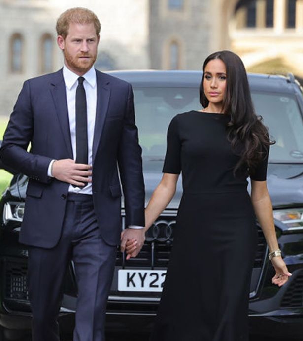Prince Harry and Meghan Markle stepped back from Royal duties in 2020