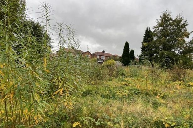 Vacant grassland off Berkeley Crescent in Hyde