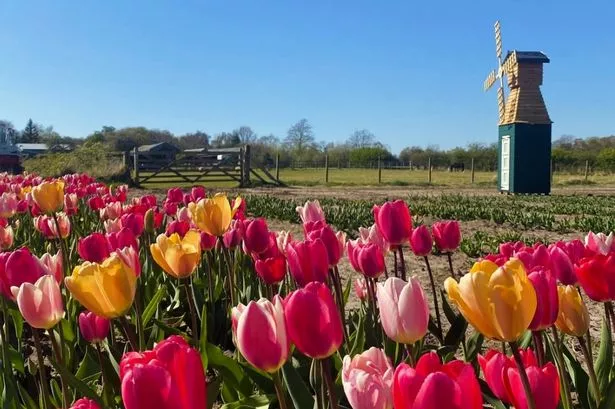 Benty Farm and Tearooms in Wirral