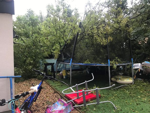 James's trampoline was also wrecked after a tree fell on his garden