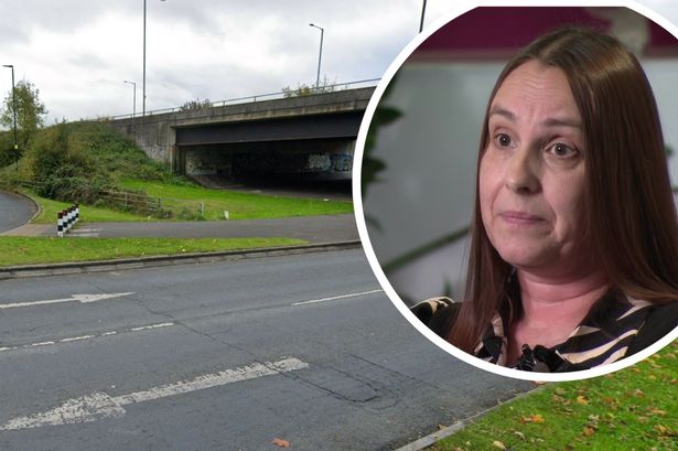 Lakeshore Drive, near the Imperial Retail Park in South Bristol, where the attack on the teenager happened and, inset, Leanne Ekland, the mother of Max Dixon