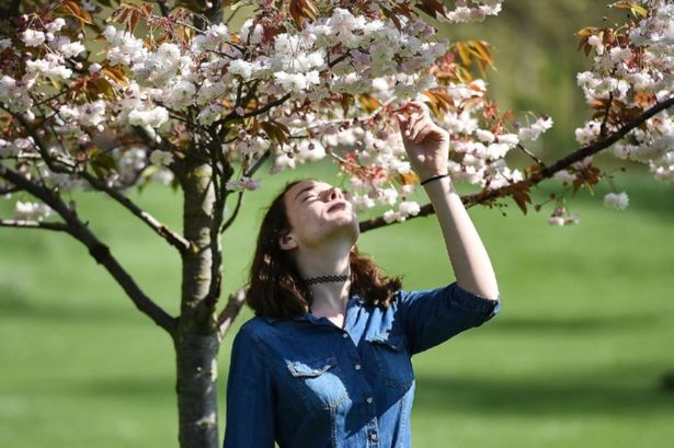 Exact date 23C mini-heatwave hits UK and when it will end