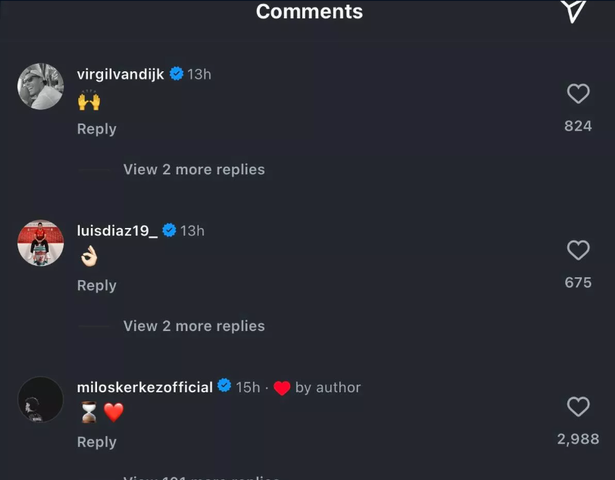 Milos Kerkez's Instagram comment