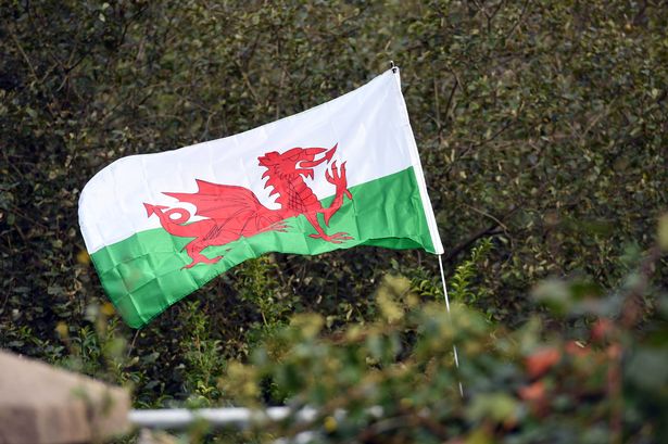 Welsh Flag