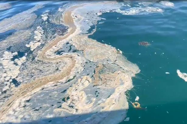 A sewage spill near St Ives