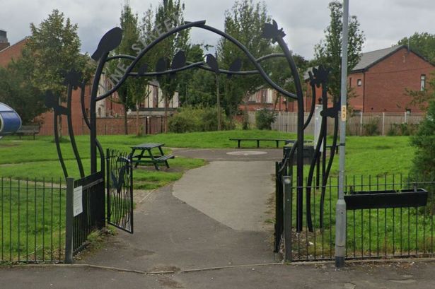 Vine Street Park, Abbey Hey