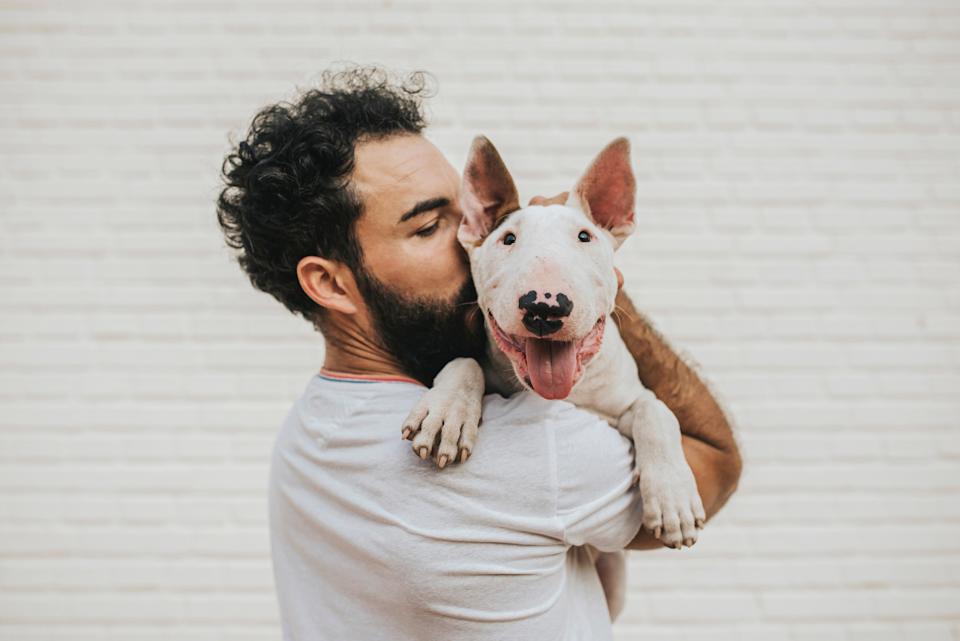 Man embracing a happy dog in his arms against a light brick wall background