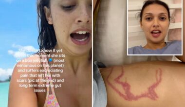 Moment influencer inadvertently films herself getting stung by deadly box jellyfish