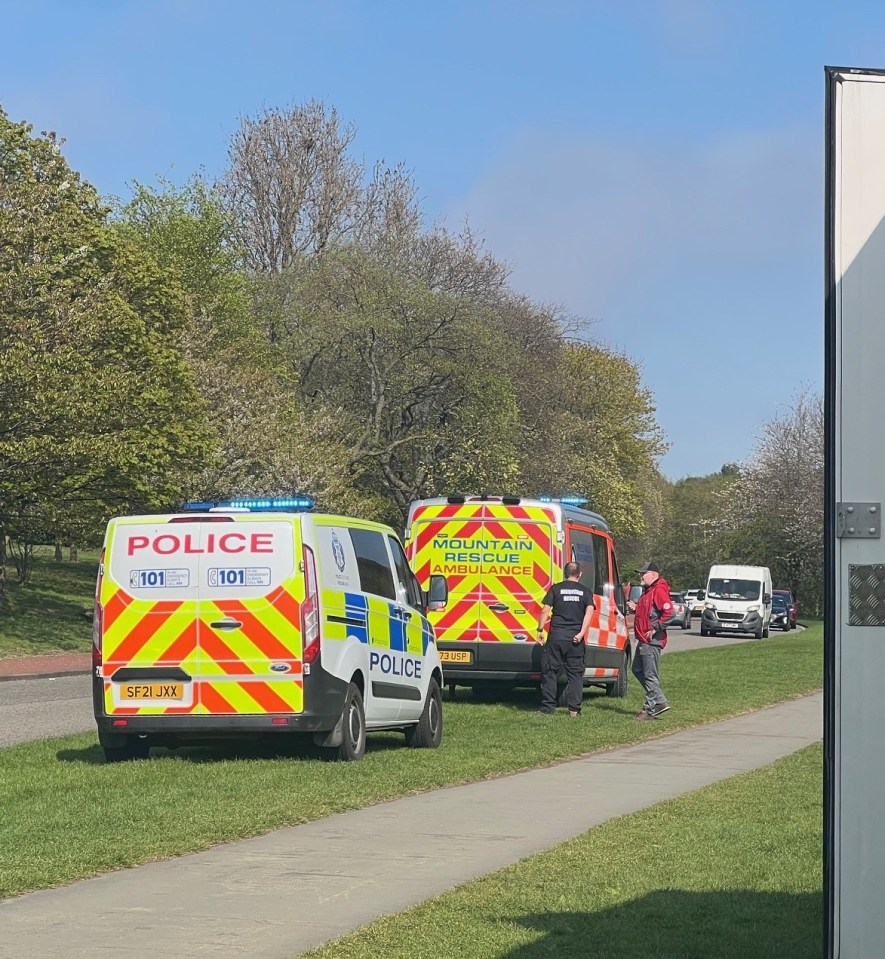 Police and mountain rescue vehicles at an incident.